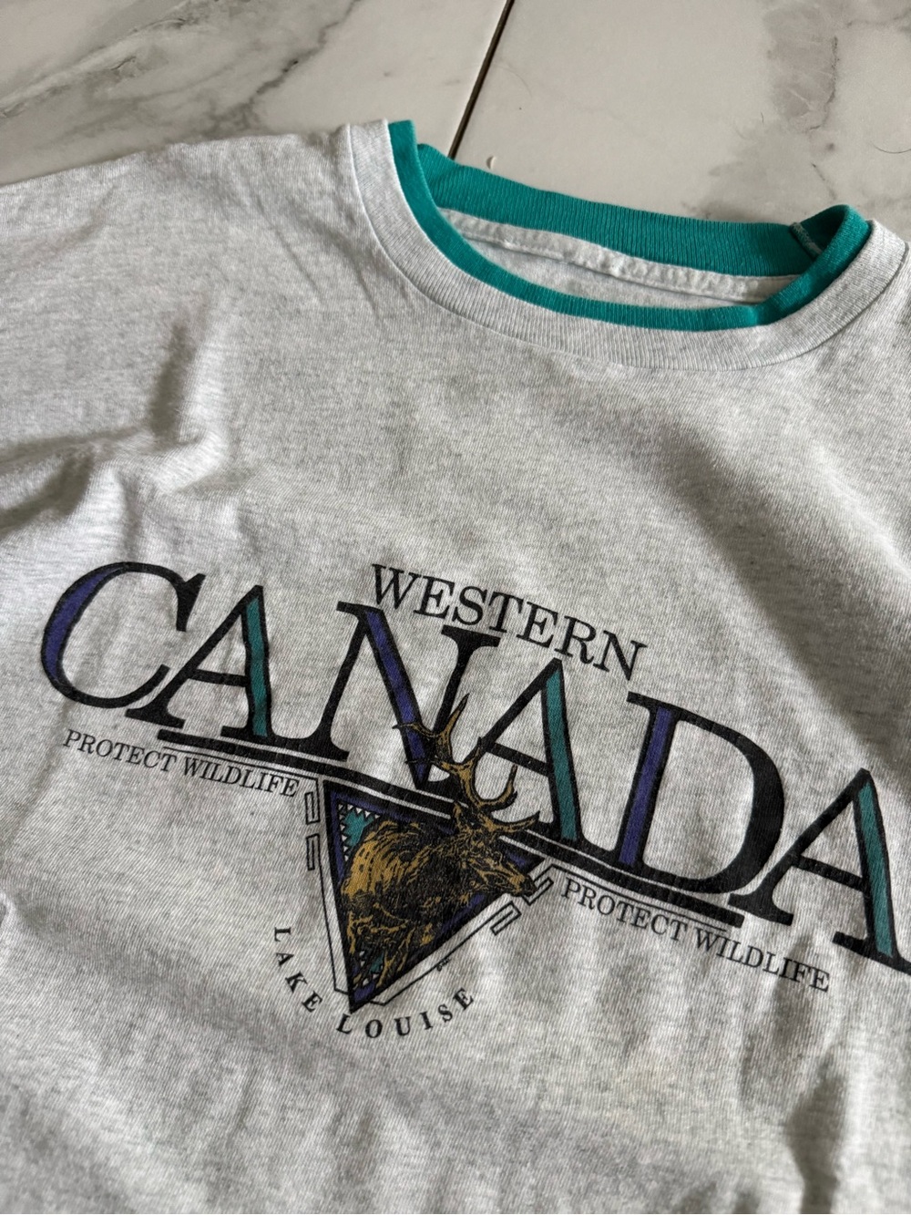 Vintage Protect Wildlife 90’s Western Canada Lake Louise Graphic Oversized Shirt